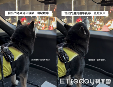 黑柴遇到「年後第一班垃圾車」　興奮「嗷嗚～」等好久了