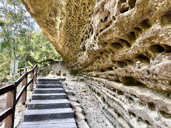 ▲▼嘉義青年嶺步道。（圖／嘉義縣政府提供）