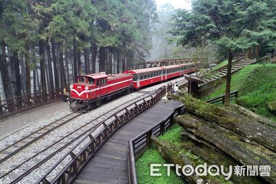 人氣景點「阿里山、日月潭」2選1！內行人玩法曝：超美車又少