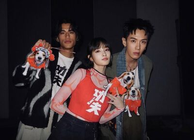 評價兩極沒在怕！《功夫》狂破3500萬　王淨吐槽親媽「笑全場」