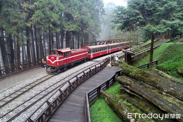 小火車還是開不了！熱低壓強灌豪雨...阿里山林鐵8/25續停