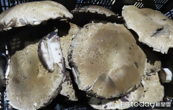 食藥署2/24邊境查驗。（圖／食藥署提供）