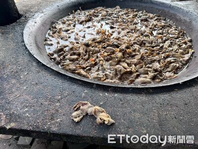 熬「小鴨屍體湯」餵豬！屏東豬場不甩法規仍用廚餘　遭重罰40萬