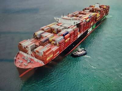 以星航運上周發生罷工本周已復工　出售案看以色列政府裁決