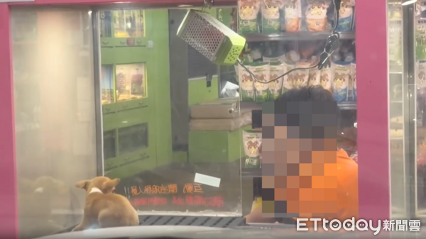 ▲玻璃窗目擊員工「狠掐吉娃娃」長達10秒　遭控業者：經查證已開除。（圖／翻攝自Threads／@wei_chen1000106）