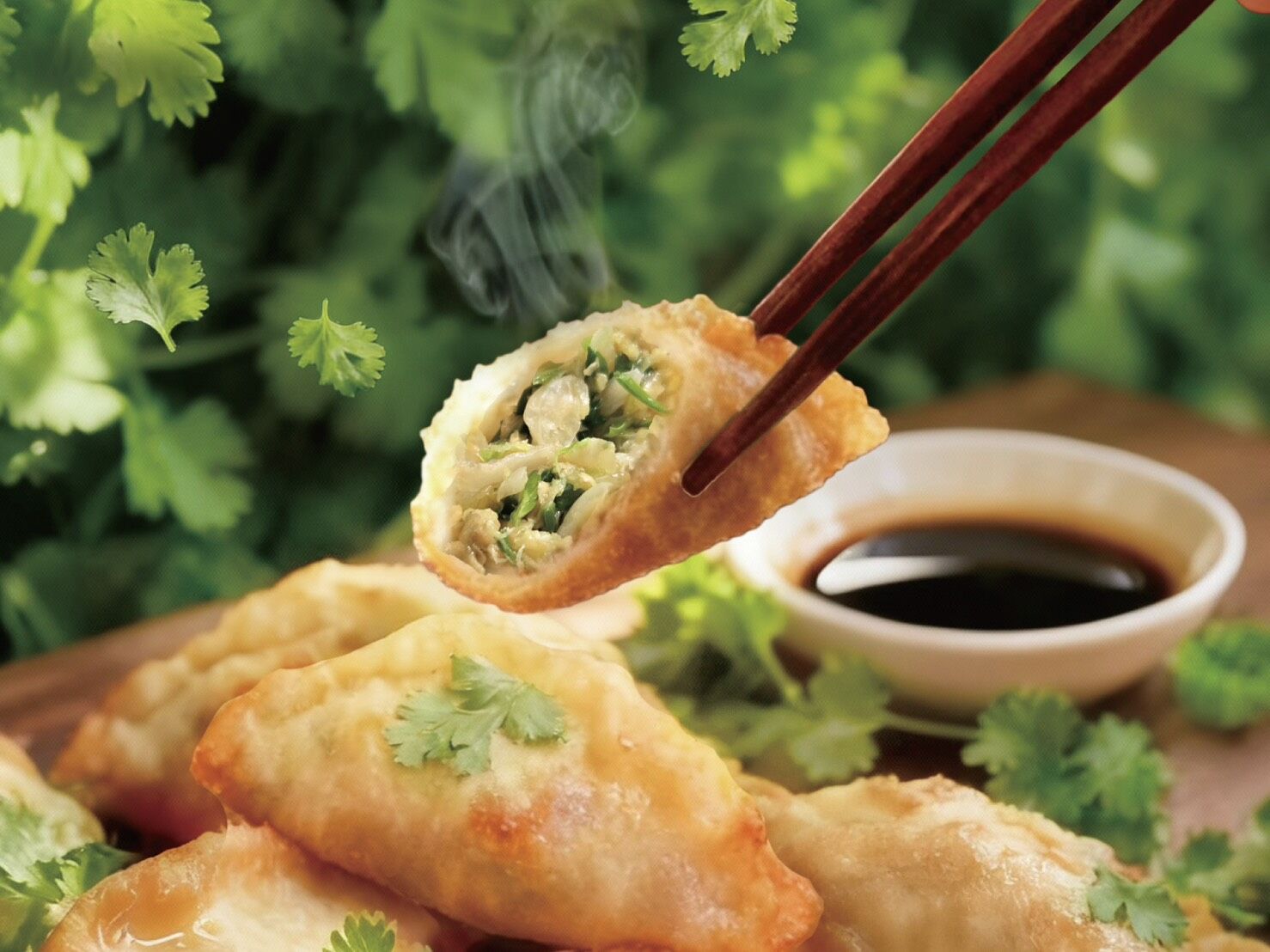 ▲▼麥味登悄賣新品「香菜炸餃」。（圖／麥味登提供）