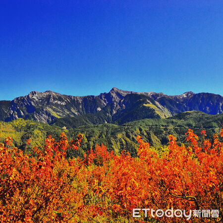 ▲阿里山小笠原山遠眺玉山主峰(中) 。（圖／孫嘉鴻攝，玉山國家公園管理處提供）