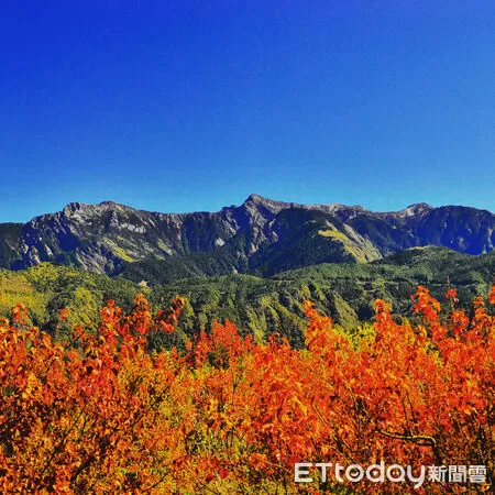 ▲阿里山小笠原山遠眺玉山主峰(中) 。（圖／孫嘉鴻攝，玉山國家公園管理處提供）
