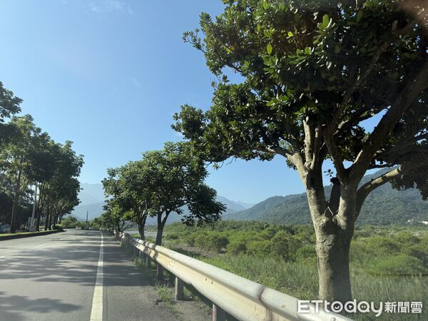 ▲▼臺16線進入水里鄉市區前、。（圖／玉山國家公園管理處提供）