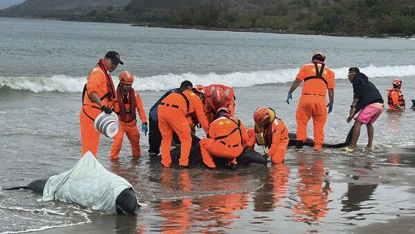 ▲。（圖／翻攝自Facebook／周春米）