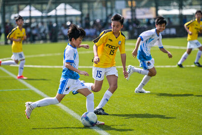 104隊齊聚高雄！2100名球員爭鋒健身工廠盃　帶動1.2億運動商機