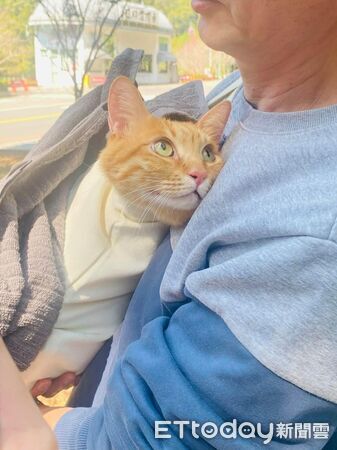 ▲。（圖／IG@1caatt1提供）