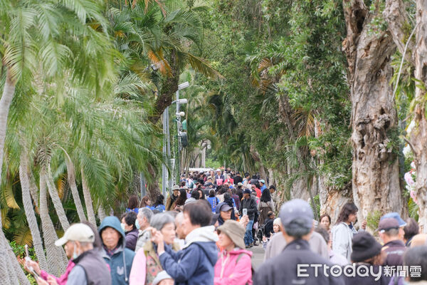 ▲2026士林官邸鬱金香展。（圖／記者彭懷玉攝）