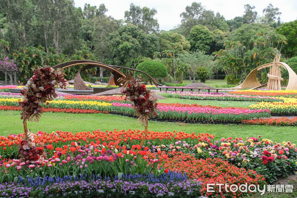 ▲2026士林官邸鬱金香展。（圖／記者彭懷玉攝）