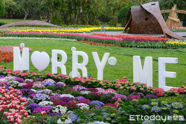▲2026士林官邸鬱金香展。（圖／記者彭懷玉攝）