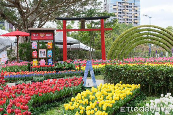 ▲2026士林官邸鬱金香展。（圖／記者彭懷玉攝）