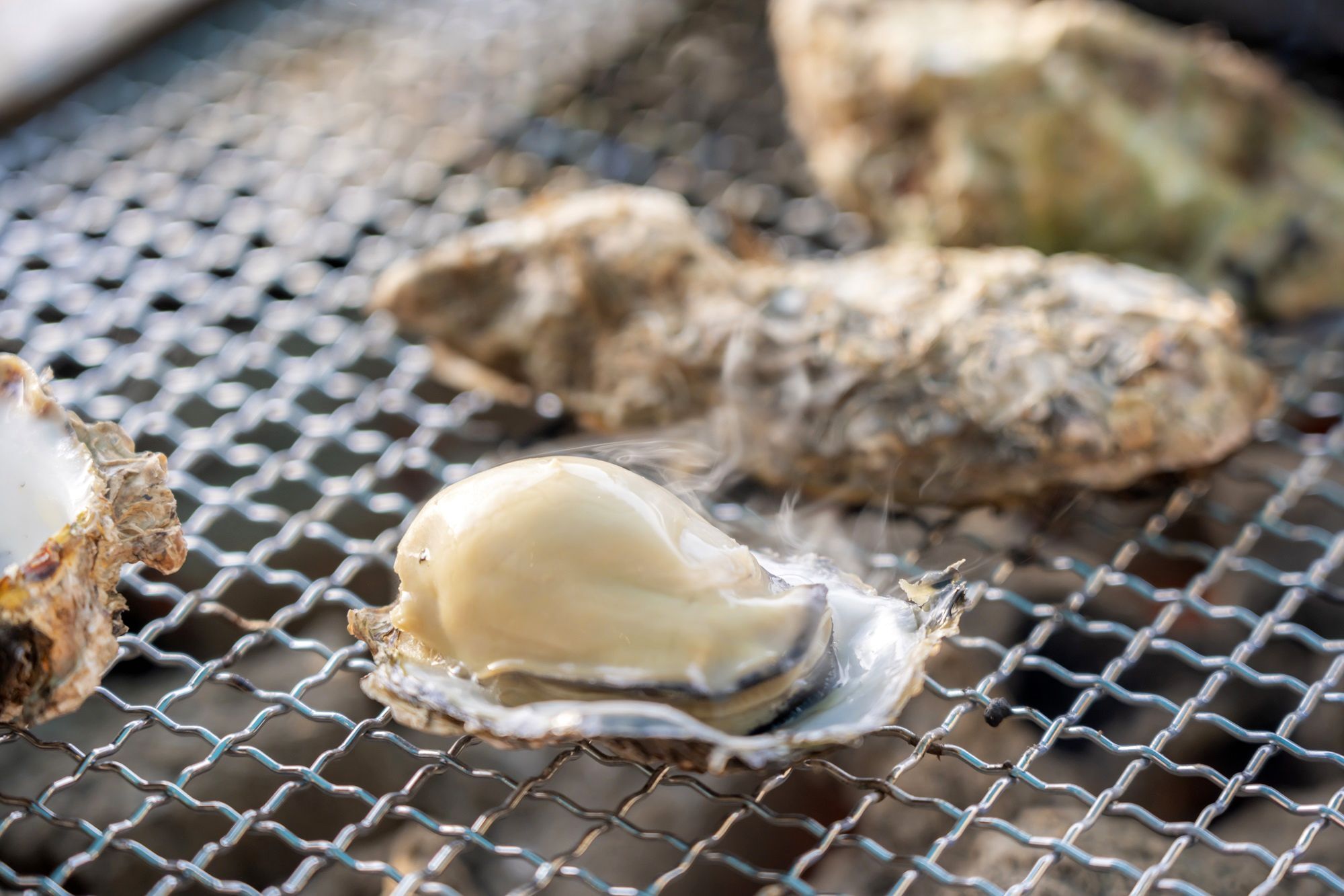 廣島初夏自駕遊 6大主題路線全收錄（圖／廣島縣觀光聯盟）