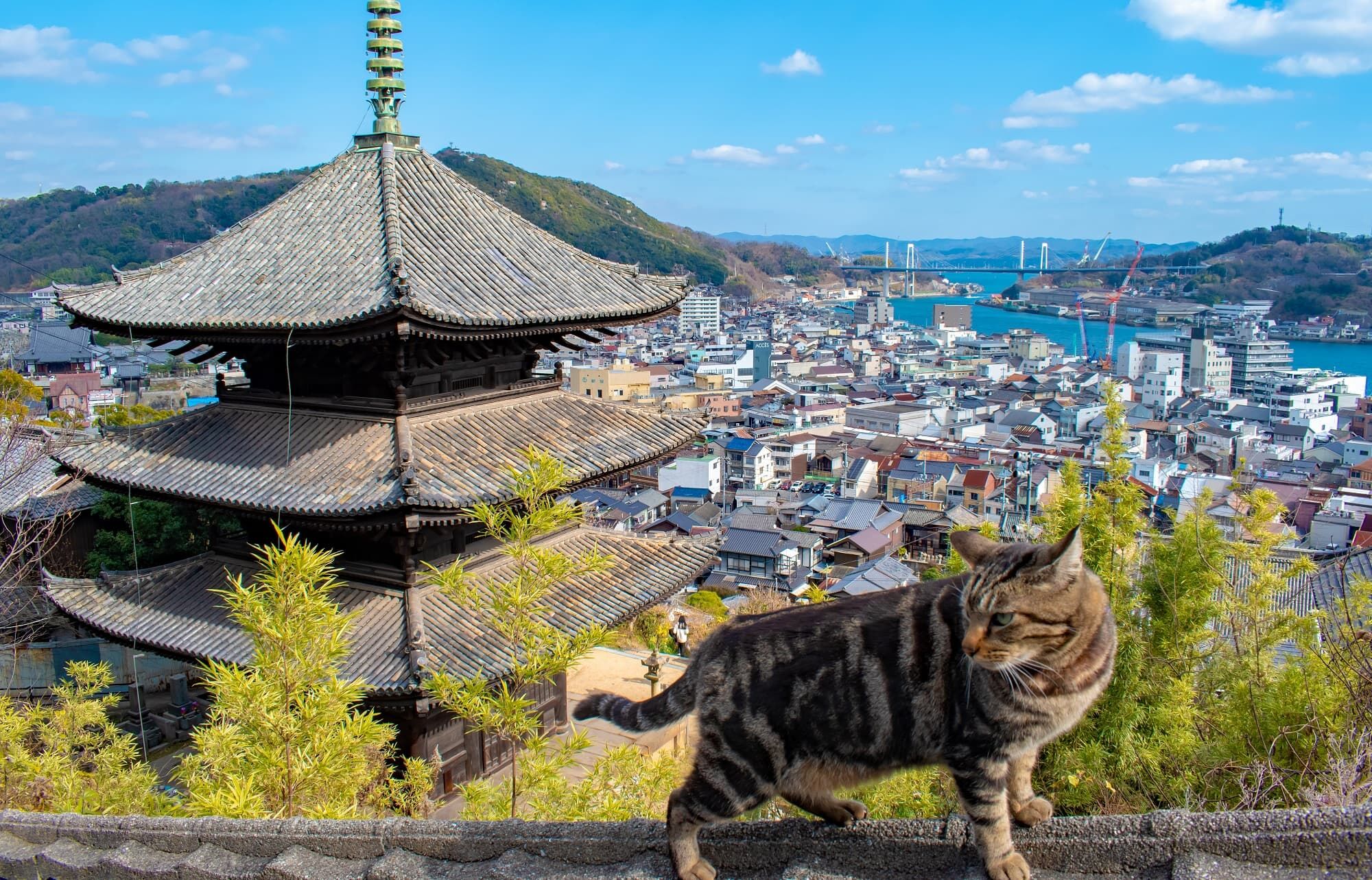 廣島初夏自駕遊 6大主題路線全收錄（圖／廣島縣觀光聯盟）