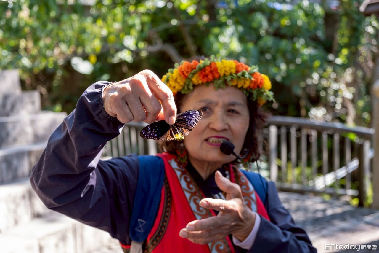 2天1夜玩山城!茂林進入最美季節 紫斑蝶飛舞暖湯吸客朝聖