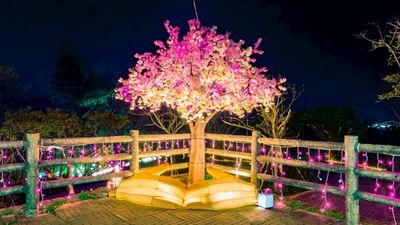 快來搶先看！　蘆竹炫YA農遊季-地景科技藝術　2/27日試點燈