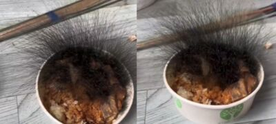 便當丟辦公桌就回家過年　開工後「修煉成精」長出15公分頭髮