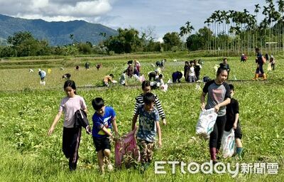 花蓮瑞穗拔蘿蔔體驗食農教育　田間驗採收樂趣