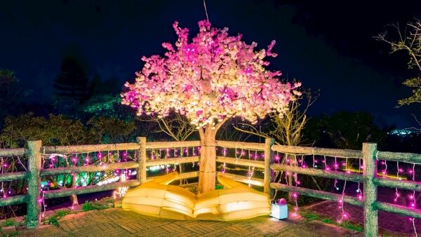 ▲2026蘆竹炫YA農遊季-地景科技藝術