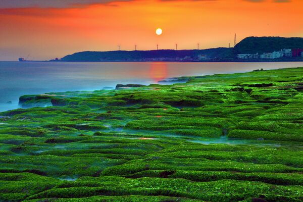 ▲石門區老梅綠石槽進入最佳觀賞期。（圖／北觀處提供）