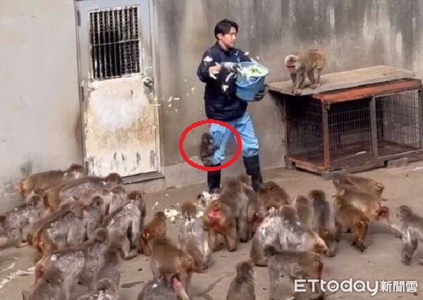 ▲。（圖／Threads@alohaoru提供，請勿隨意翻拍，以免侵權。）