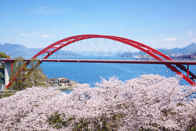 廣島6處私房賞櫻景點！賞1300棵吉野櫻　觀景台遠眺瀨戶內海