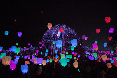 「光之新徑－嘉義夢」×「再。嘉義」燈區正式啟動，率先點亮2026台灣燈會第一道光