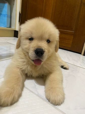 ▲（圖／有點毛毛的／臉書粉專「蔡一丟的小生活」提供）