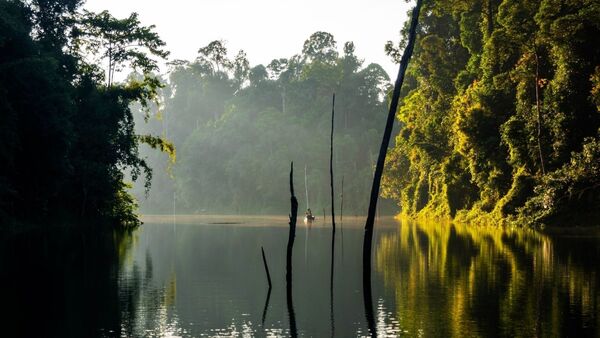 ▲馬來西亞三大雨林秘境，富有豐富的熱帶雨林與世界級自然景觀及推薦度假村。（圖／馬來西亞觀光局提供）