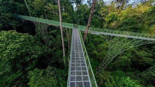 ▲馬來西亞三大雨林秘境，富有豐富的熱帶雨林與世界級自然景觀及推薦度假村。（圖／馬來西亞觀光局提供）