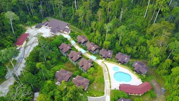 ▲馬來西亞三大雨林秘境，富有豐富的熱帶雨林與世界級自然景觀及推薦度假村。（圖／馬來西亞觀光局提供）