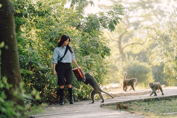 ▲邵雨薇在影集《動物園》殺青後在壽山動物園走一圈才離開，被猴群包圍。（圖／Disney+提供）