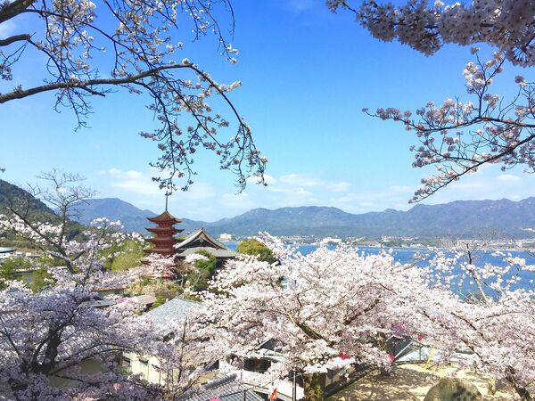 ▲▼廣島賞櫻景點。（圖／HIT廣島縣觀光聯盟提供）