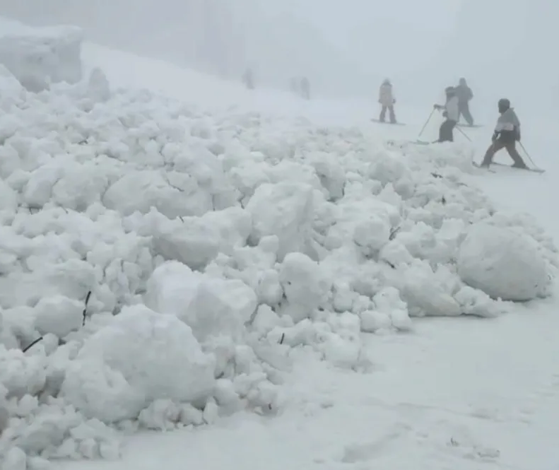 快訊/日本新潟滑雪場「發生雪崩」 台灣2名旅客遭捲入!