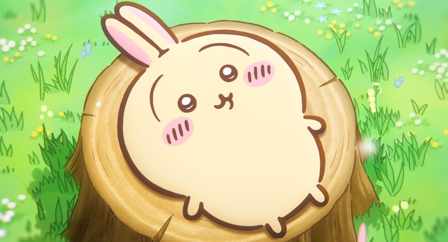 ▲▼寶可夢 吉伊卡哇。（圖／廠商提供、翻攝自寶可夢）