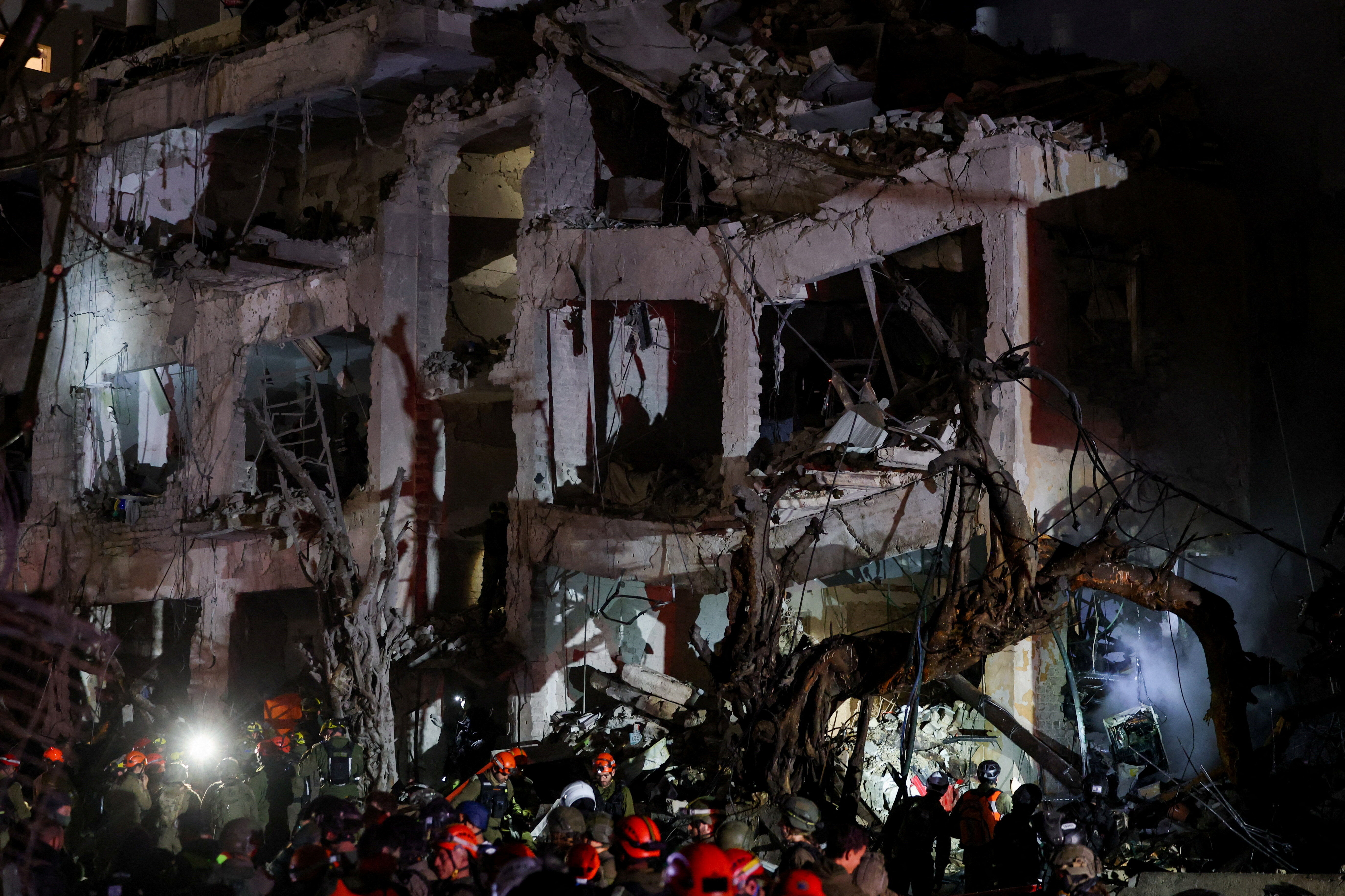 ��ɫ������ά���⵼�����С�1��20��