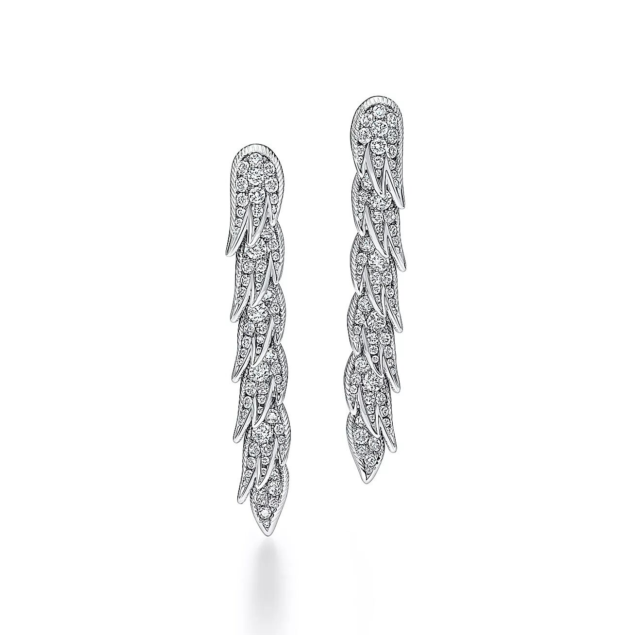 ▲▼ Tiffany           。（圖／公關照）