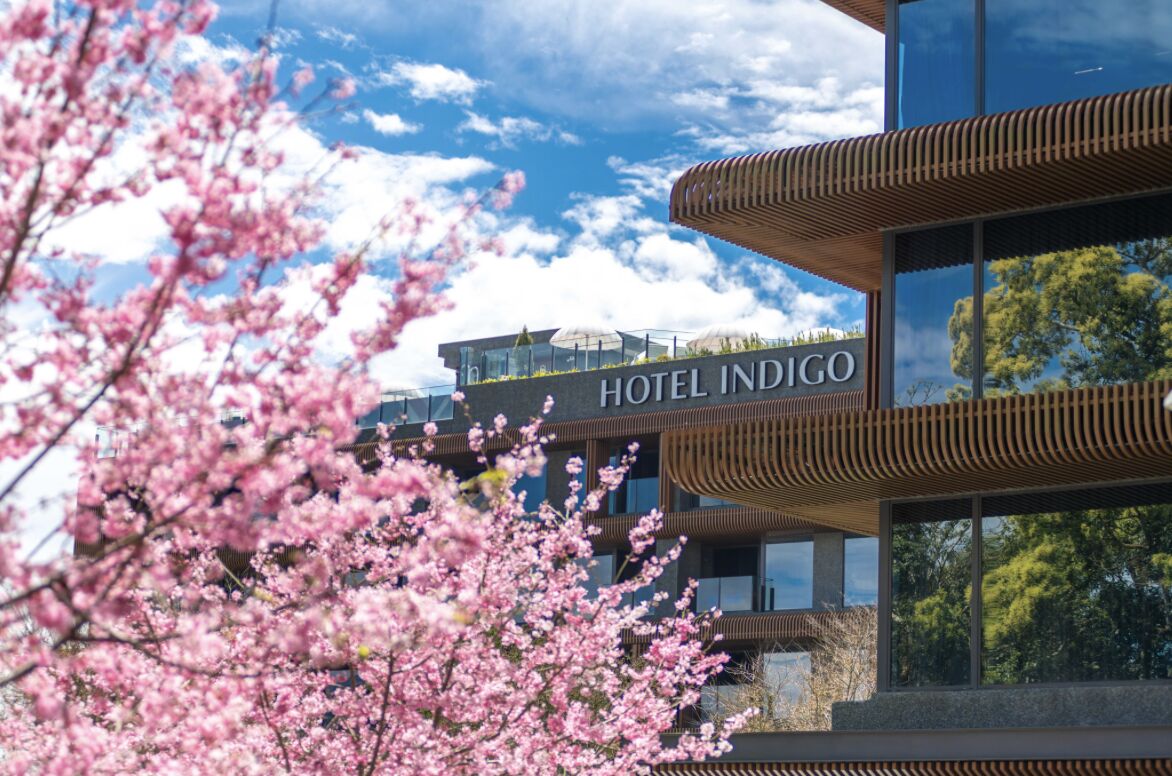 ▲▼阿里山英迪格酒店。（圖／業者提供）