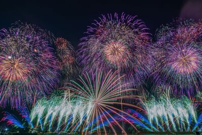 嘉義台灣燈會開幕煙火秀搶先看　3大主題、1.7萬發點亮夜空