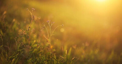 12星座3月運勢排行榜出爐！第1名記住「有紀律投資」馬年發大財