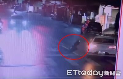 又見行人地獄！高雄白車左轉撞飛斑馬線女路人　驚悚瞬間曝