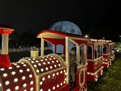 桃園燈會5天突破65萬人次　228連假滿滿「今年主燈秀超震撼」