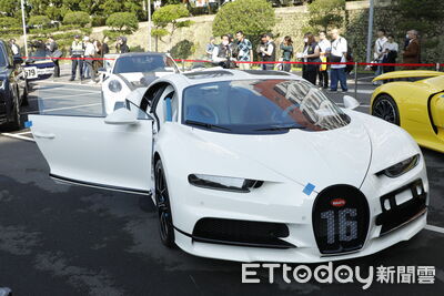 快訊／四大神獸「山豬王」起標價9500萬流標！　現場一陣譁然