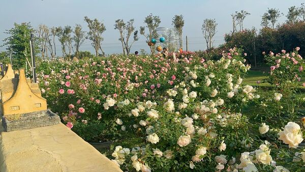 ▲▼雅聞湖濱療癒森林。（圖／翻攝自雅聞湖濱療癒森林臉書專頁）