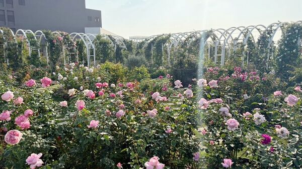 ▲▼雅聞湖濱療癒森林。（圖／翻攝自雅聞湖濱療癒森林臉書專頁）