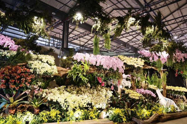 ▲▼台灣國際蘭展。（圖／台南市政府提供）